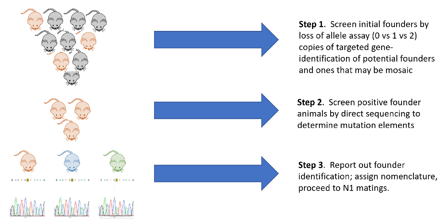crispr characterization experimental