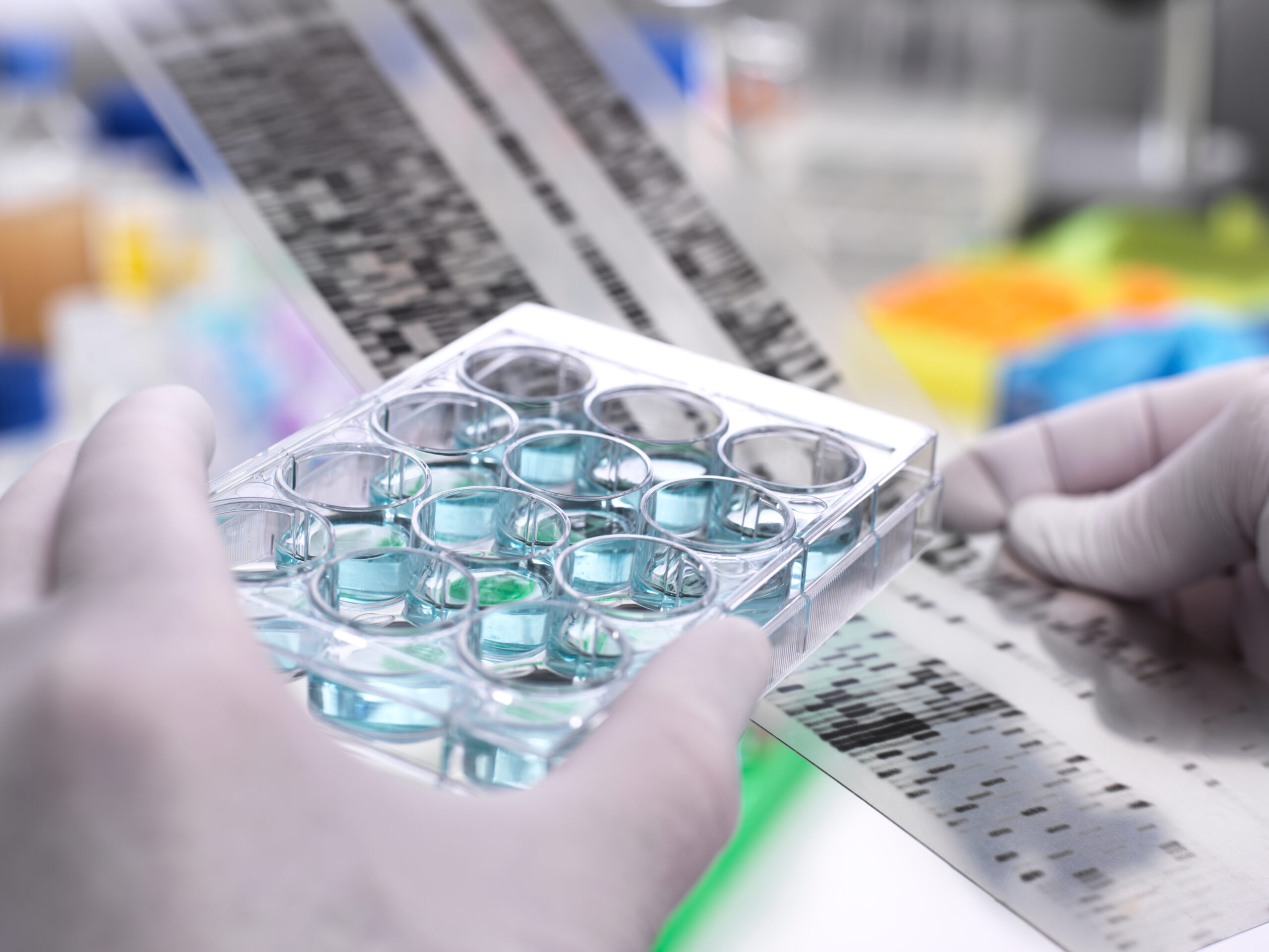 Assay Design GenoTyping Center of America